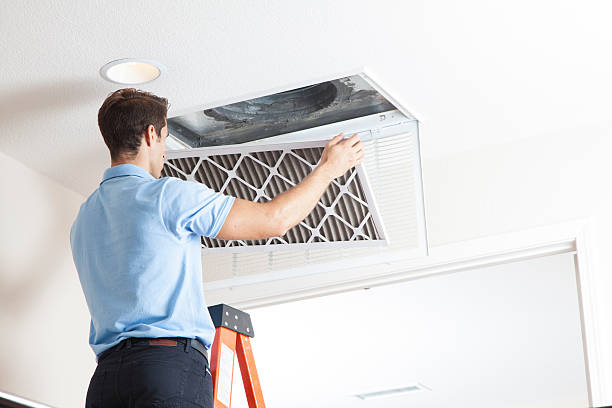 Best Residential HVAC Services  in Colon, MI